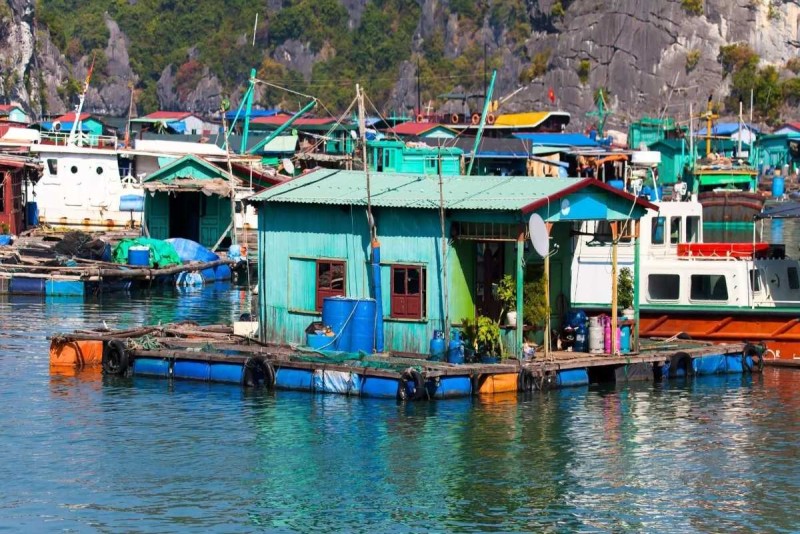 Bamboo Boat Ride Vung Vieng Fishing Village floating aquaculture farms Floating aquaculture farms with colorful houses in emerald waters of Vung Vieng Fishing Village