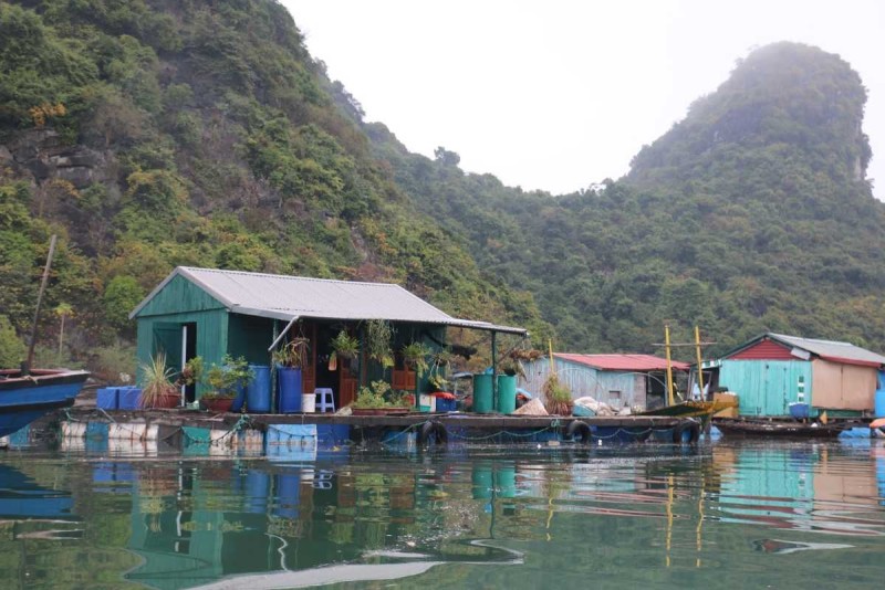 Bamboo Boat Ride Vung Vieng Fishing Village floating homes view Floating homes at Bamboo Boat Ride Vung Vieng Fishing Village, showcasing traditional life amid stunning limestone karsts.