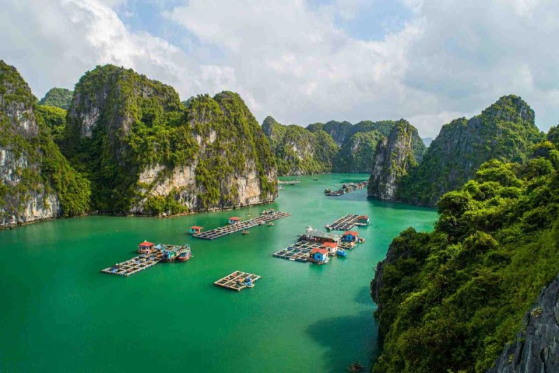 Bamboo Boat Ride Vung Vieng Fishing Village panoramic bay view Panoramic view of Bai Tu Long Bay with numerous boats and towering karst islands near Vung Vieng