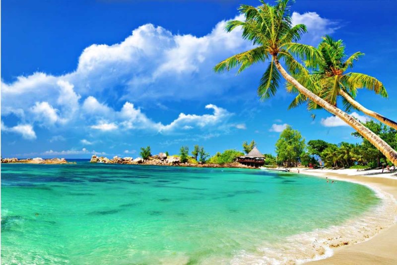 Con Se Tre Island Pier and Floating Restaurants Pier and floating restaurants on Con Se Tre Island offering local cuisine and sea views