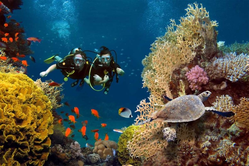Coral Reef Diving at Hon Mot Island Nha Trang Scuba diver swimming over colorful coral reefs thriving at Hon Mot Island, Nha Trang
