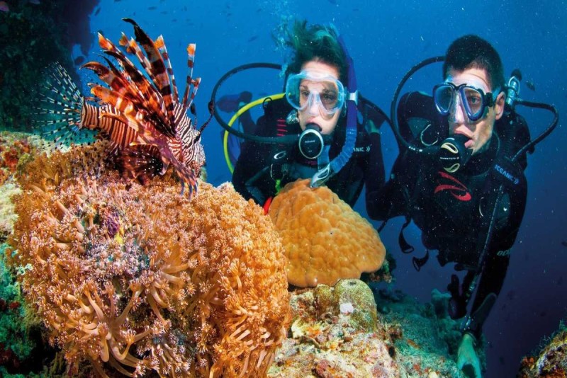Diving at Mun Island: Couple Diving Near Coral A couple scuba diving near extensive coral formations at Mun Island during a Diving at Mun Island tour