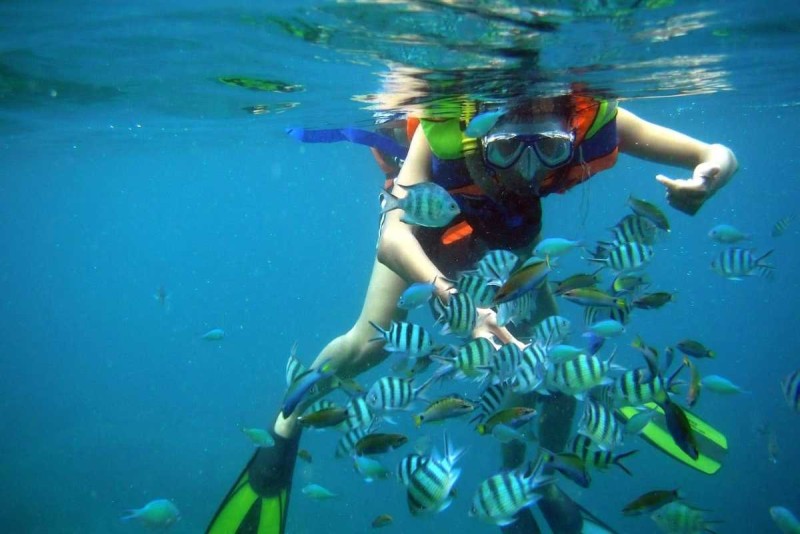 Diving at Mun Island: Group of Divers Underwater Group of scuba divers exploring coral reefs at Mun Island during an organized Diving at Mun Island session