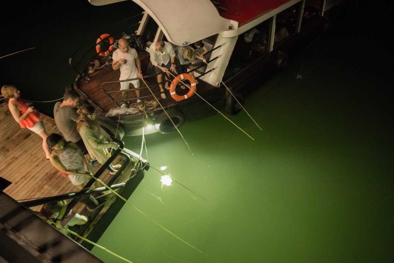 Squid Fishing Halong Bay Child Participating in Fishing Child learning and participating in squid fishing from a boat in Halong Bay at night.