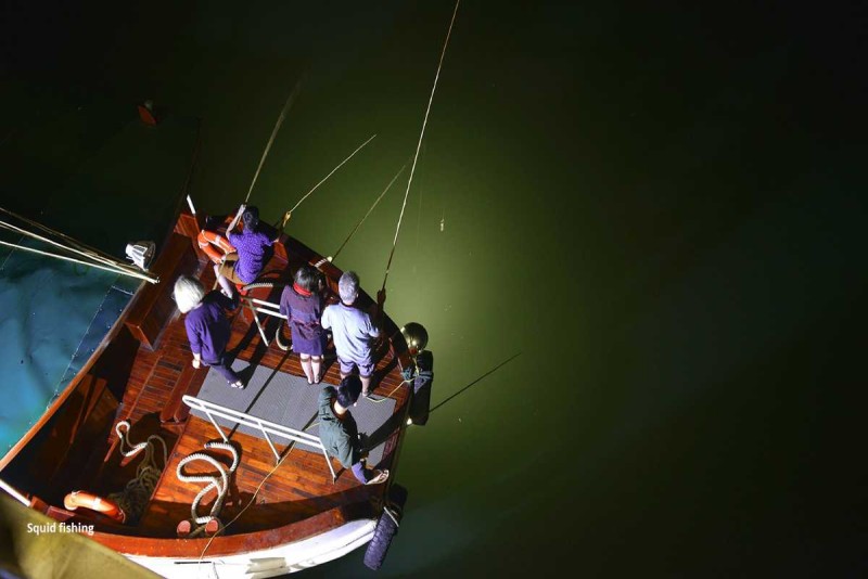 Squid Fishing Halong Bay Nighttime Pier Fishing Activity People fishing for squid off a wooden pier in Halong Bay at night with underwater lights.