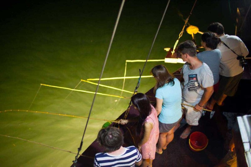 Squid Fishing Halong Bay Tourists Catching Squid Tourists fishing for squid from a boat deck under glowing green water in Halong Bay at night.