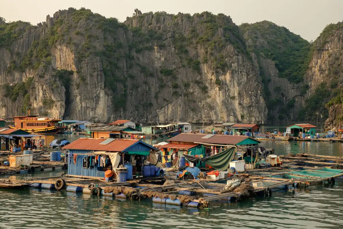 Cai Beo Floating Village