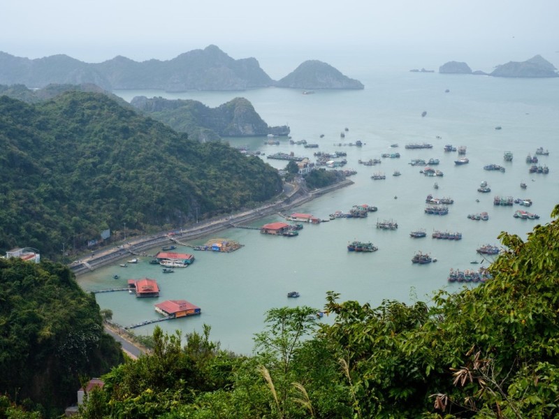 Aerial view of Cat Ba Island bay in Vietnam