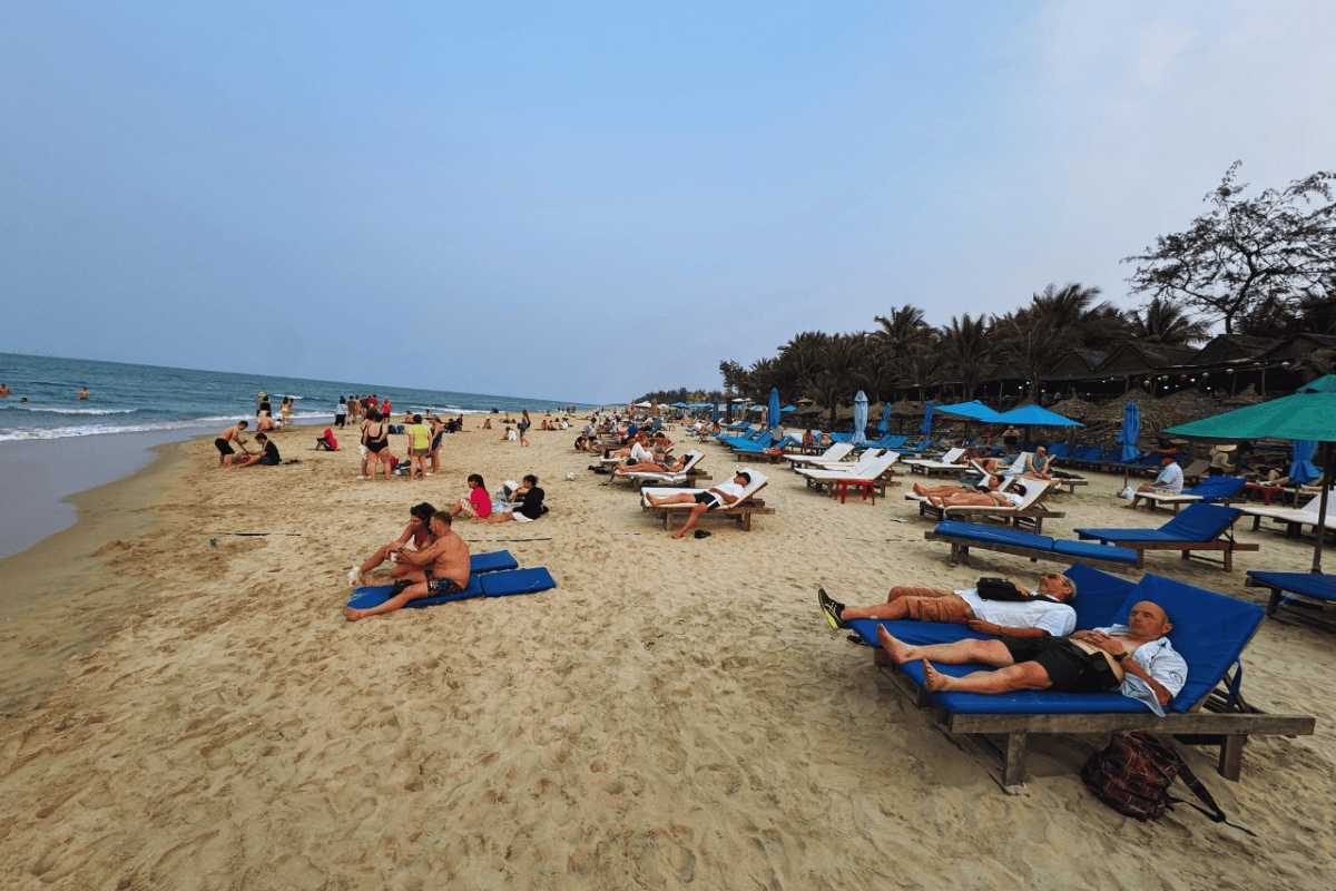 An Bang Beach Relaxing Sunbeds and Sandy Shoreline Relaxing sunbeds lined along the sandy shore at An Bang Beach with calm waves and palm trees