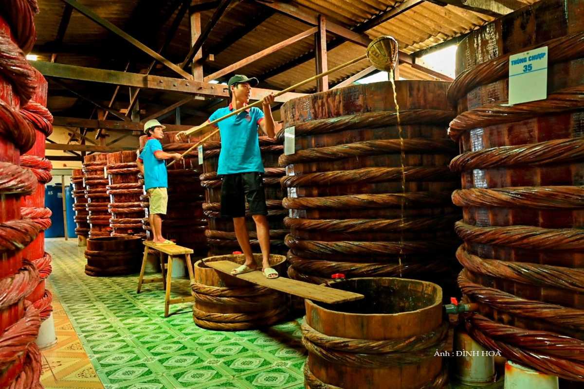 Anchovy Processing at Phu Quoc Fish Sauce Factory Workers processing anchovies in large barrels for Traditional Phu Quoc Fish Sauce fermentation