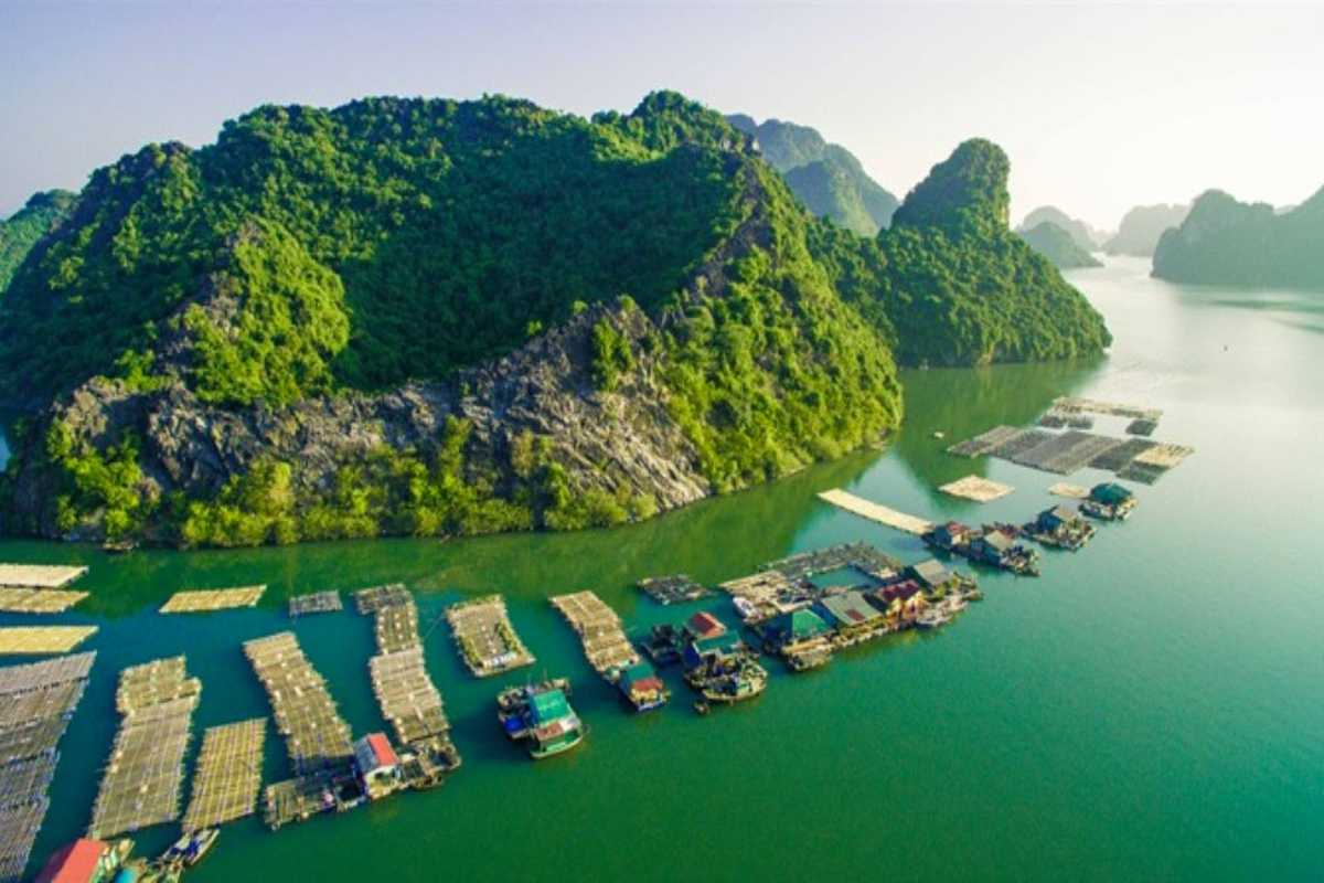 Ba Ham Lake Halong Bay scenic view with floating village Ba Ham Lake Halong Bay showing the peaceful floating village and surrounding lush limestone karsts and water.