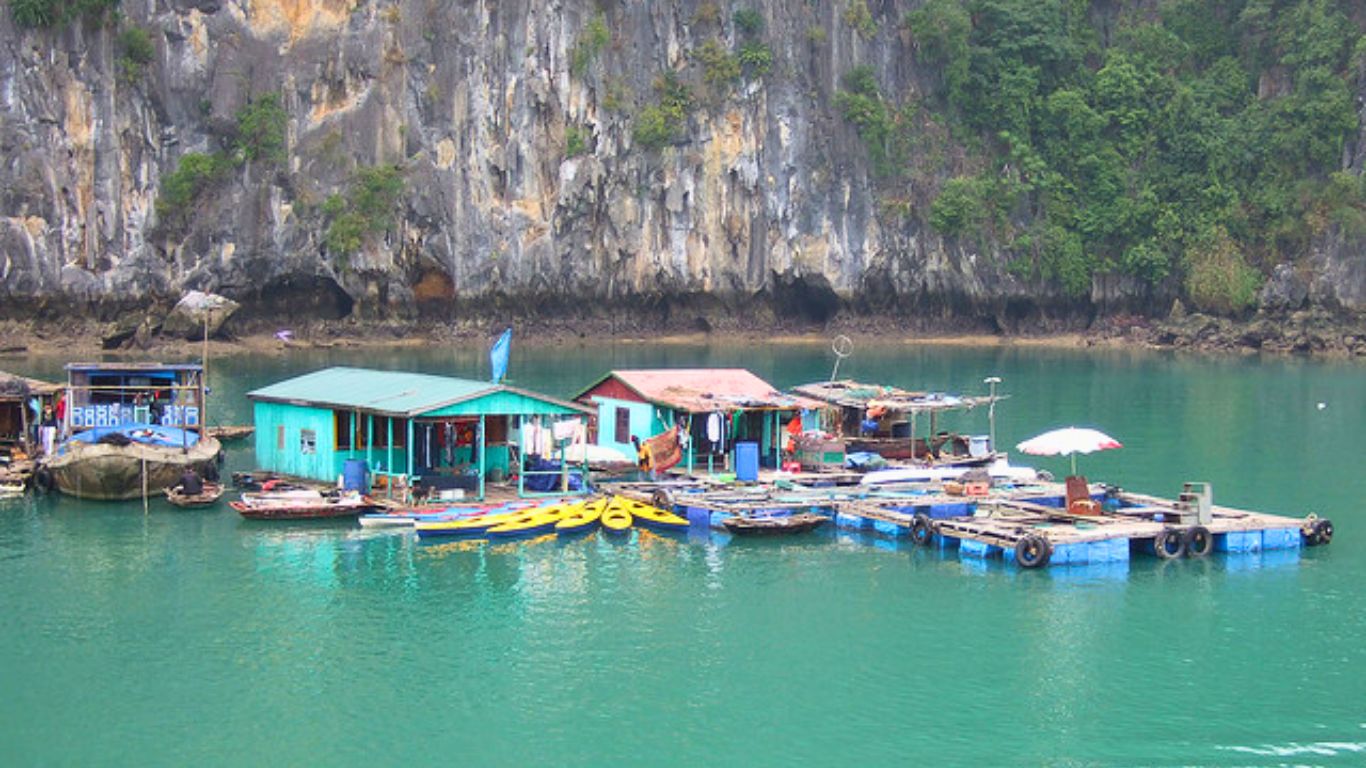 A view of Ba Hang Fishing Village in Halong Bay, featuring traditional floating houses against limestone cliffs.