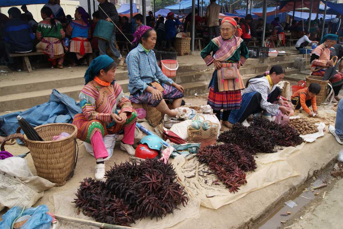 Bac Ha Market Sapa traditional textiles and ethnic women Bac Ha Market with ethnic women in traditional dress, selling brocade, vegetables, and homemade products on market steps