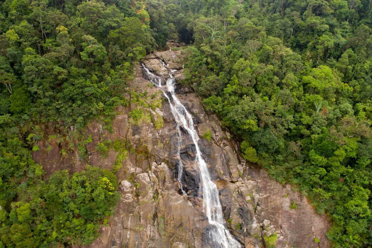 Flowing Waterfall with Forested Valley in Bach Ma Park Waterfall cascading down rocky slopes into dense forest valley at Bach Ma National Park