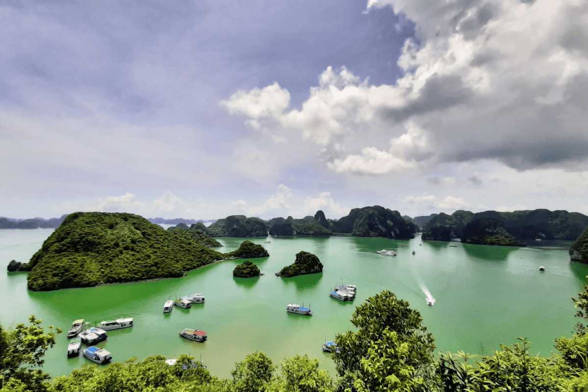 Bai Tu Long Bay Vietnam aerial harbor view Aerial view of Bai Tu Long Bay Vietnam showing boats docked in a green water harbor amid lush limestone hills.