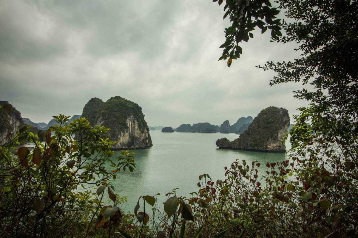 Bai Tu Long Bay Vietnam limestone karst panorama Panoramic view of Bai Tu Long Bay Vietnam’s limestone karsts rising from green waters under a blue sky.