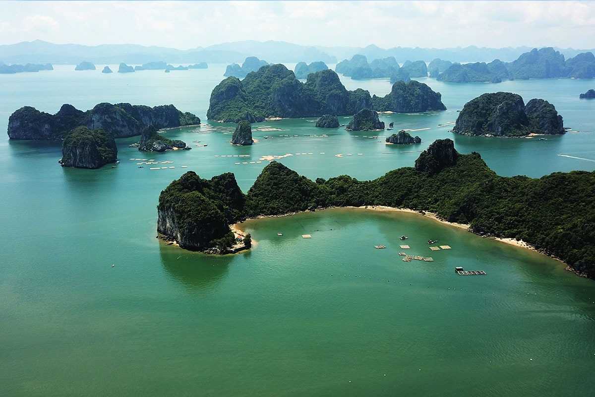 Bai Tu Long Bay scenic island coastline Scenic island coastline in Bai Tu Long Bay Vietnam with green vegetation and tranquil bay waters.