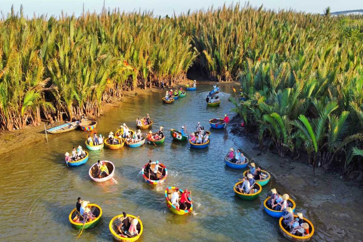 Basket Boats Touring Through Coconut Groves Tourists riding basket boats surrounded by tall coconut palms in Cam Thanh Coconut Village