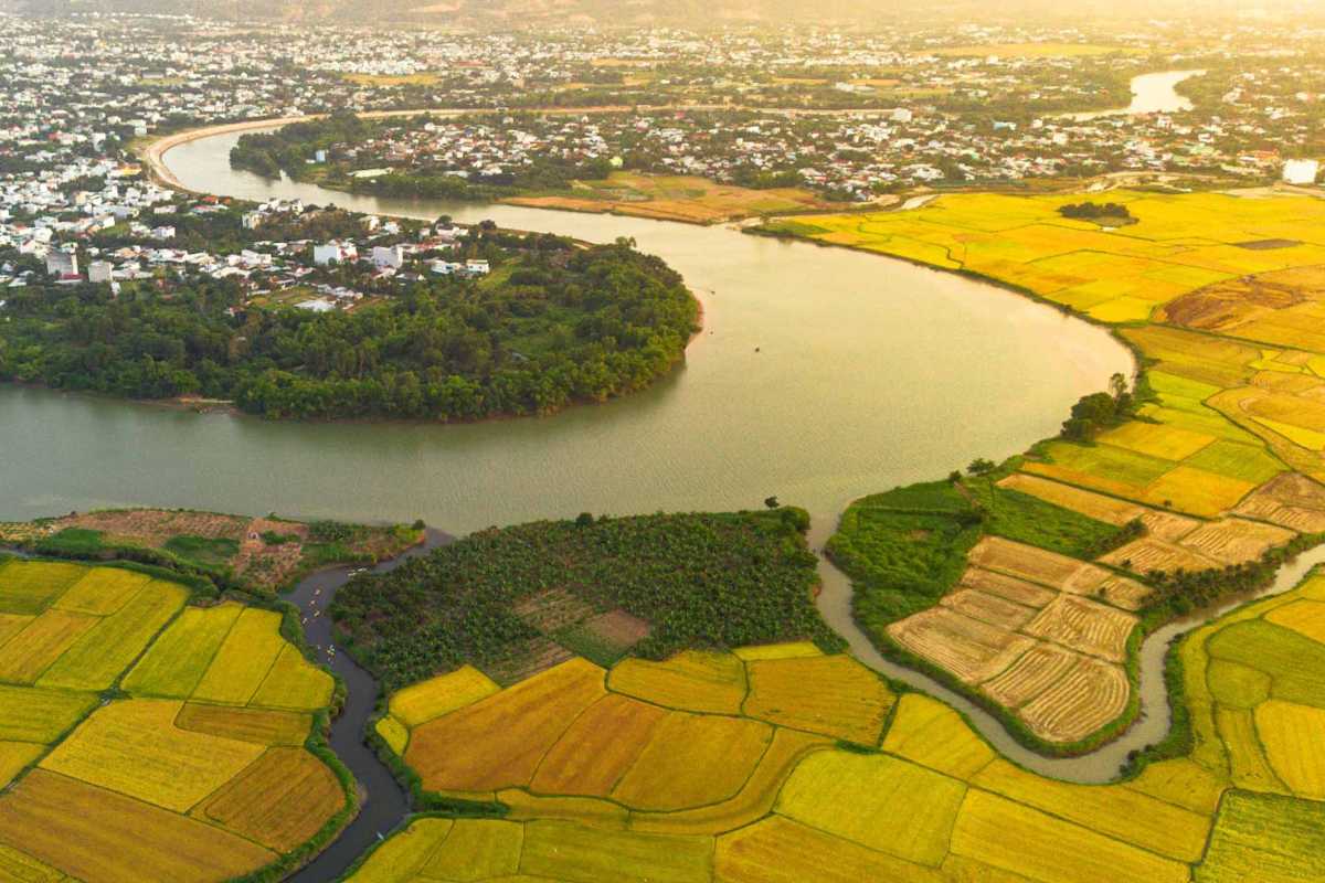 Golden Farmlands Surrounding the Cai River An expansive view of golden-hued farmlands encircling the meandering Cai River in Nha Trang’s countryside.
