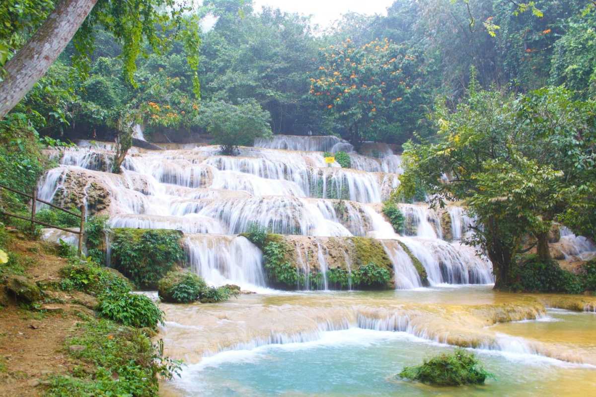 Cam Ly Waterfall Da Lat scenic waterfall in lush forest Cam Ly Waterfall Da Lat surrounded by lush green forest with clear water cascading down rocks