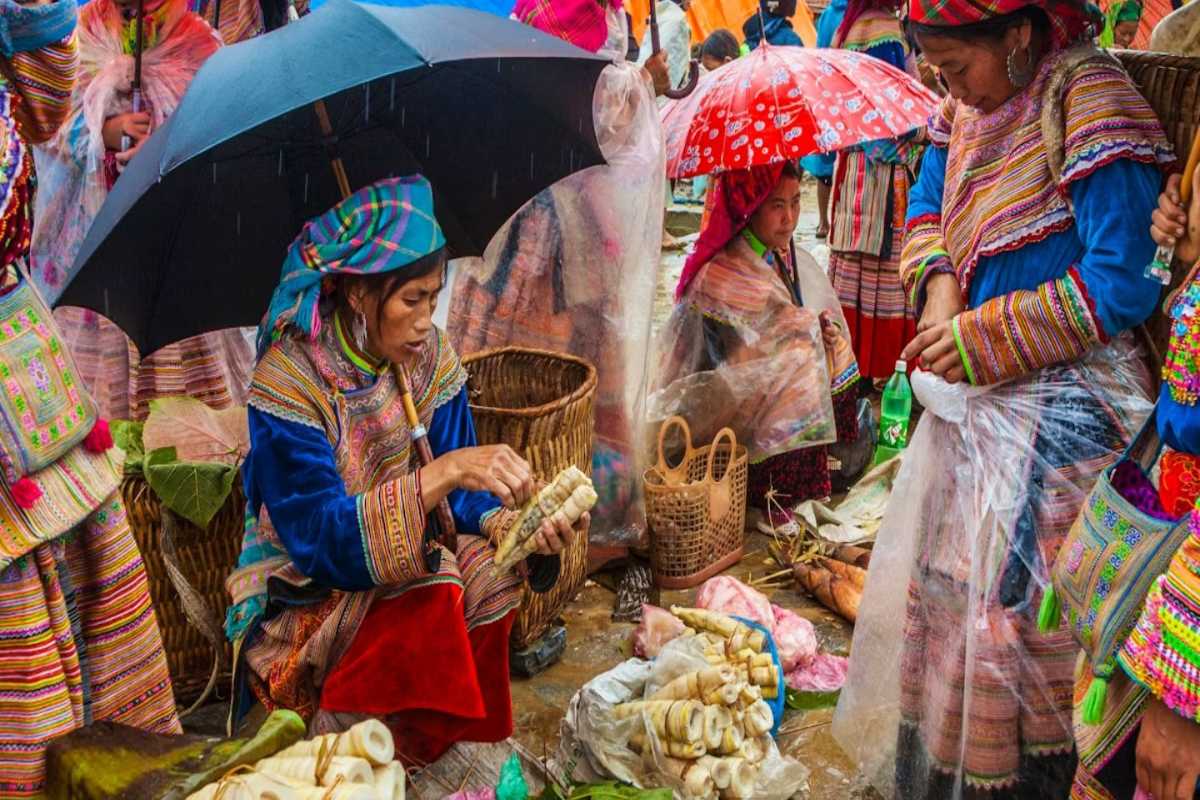 Can Cau Market Lao Cai woman selling bamboo shoots in rain A Flower Hmong woman sits under umbrella peeling bamboo shoots in the rain at Can Cau Market in Lao Cai
