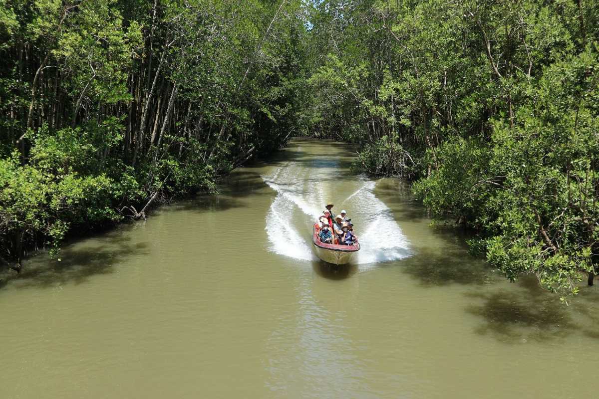 Can Gio Mangrove Forest Boat Tour Through Canals Visitors on a boat exploring winding mangrove canals in Can Gio Mangrove Forest, Vietnam