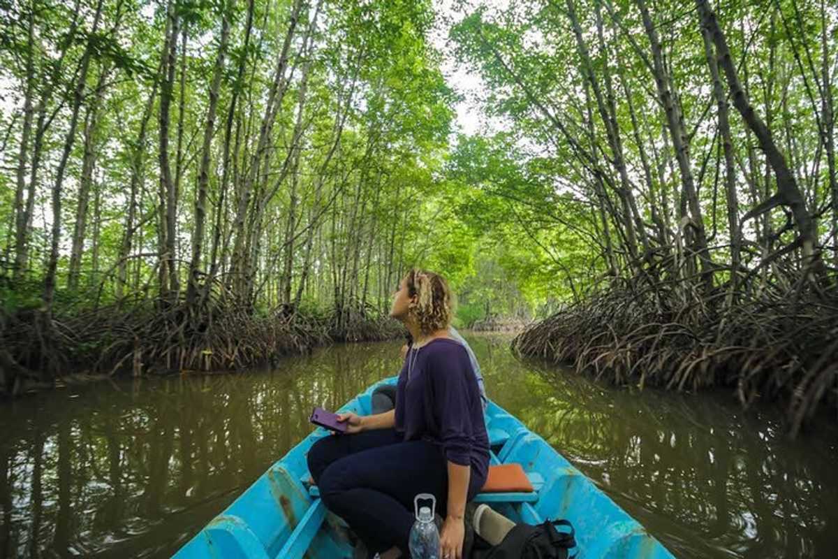 Park Rangers Navigating Mangrove Terrain in Can Gio Park rangers walking through dense mangrove forest in Can Gio Mangrove Forest, Vietnam