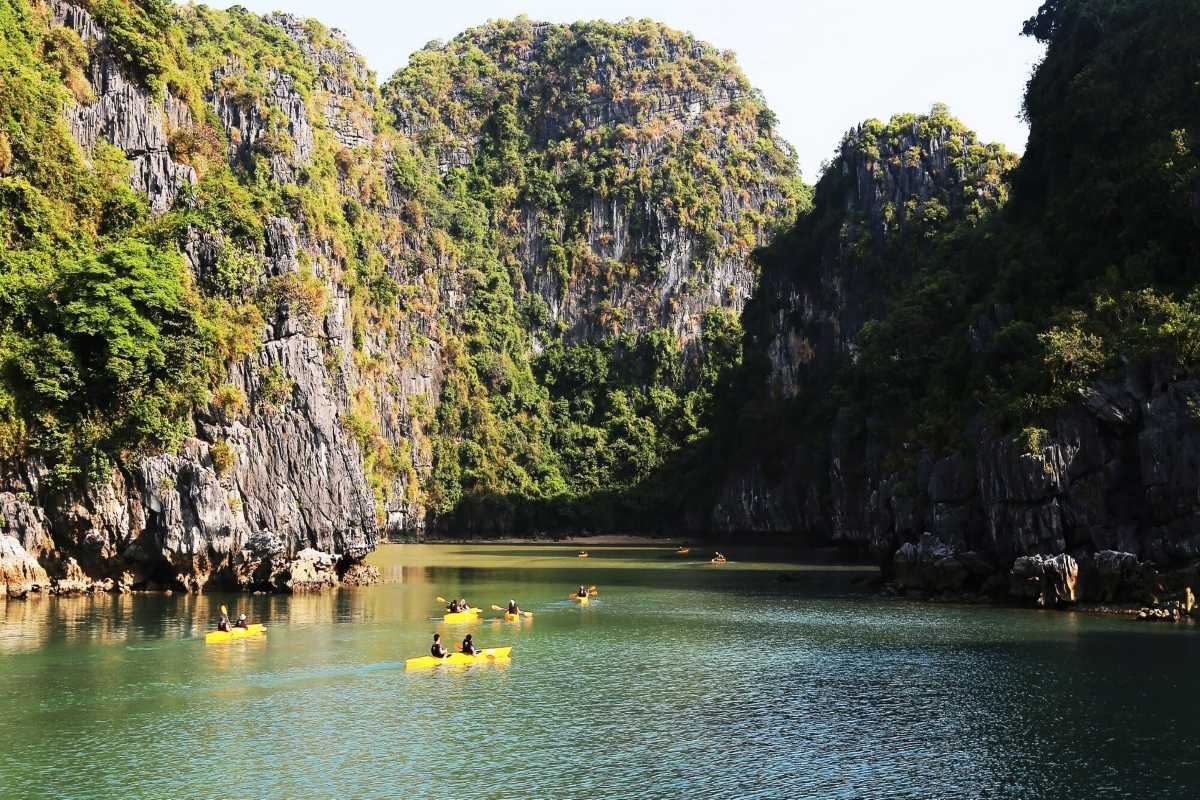Cap La Island Bai Tu Long Bay forest and beach Dense forest and sandy beach along the coastline of Cap La Island in Bai Tu Long Bay