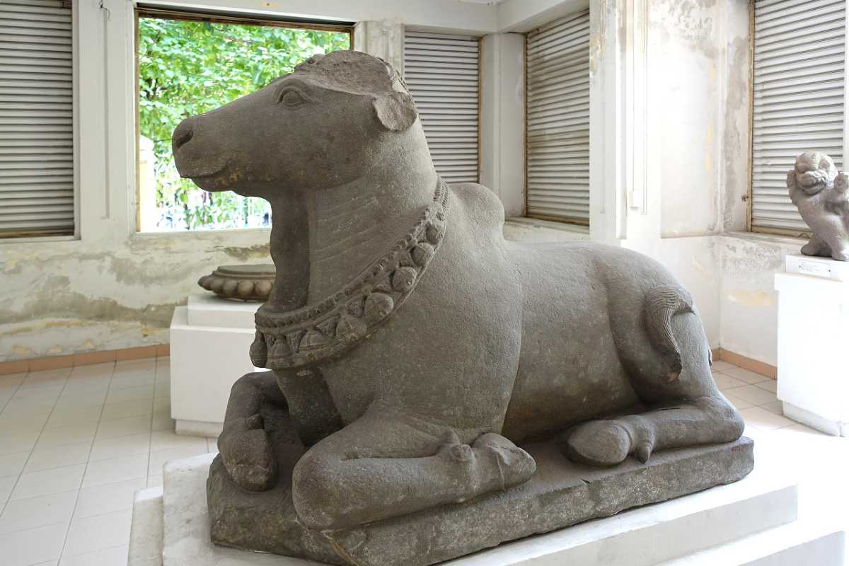 Cham Sculpture Museum Da Nang sacred Nandi bull statue display Cham Sculpture Museum Da Nang exhibits a sacred Nandi bull statue, symbolizing Hindu heritage, in a light-filled museum gallery