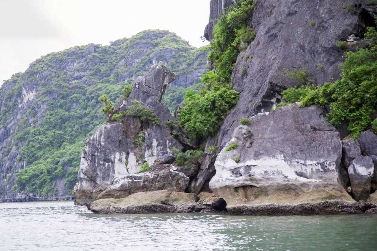 Cho Da Islet Halong Bay green cliffs and water view Green cliffs covered with trees at Cho Da Islet Halong Bay alongside calm turquoise waters under a blue sky.