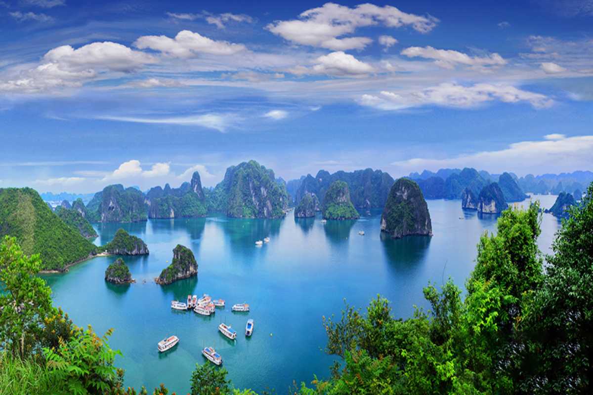 Cho Da Islet Halong Bay panoramic bay view Panoramic view of Halong Bay featuring Cho Da Islet with multiple limestone islets in the tranquil blue waters.