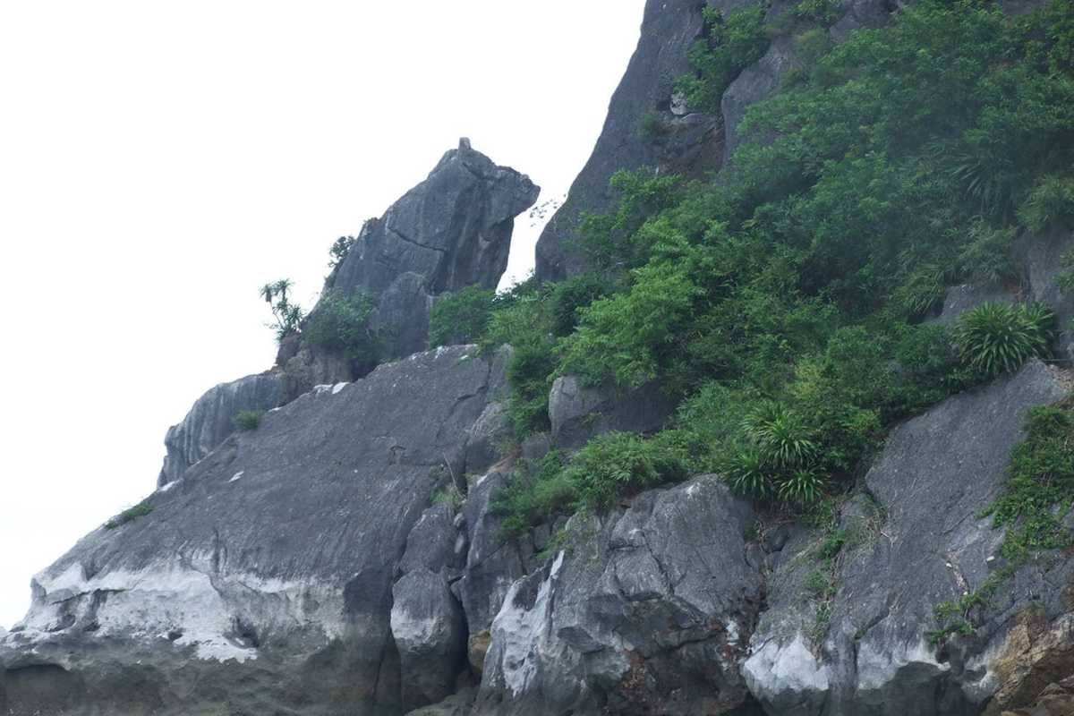Cho Da Islet Halong Bay steep cliff and vegetation Steep cliff face with dense vegetation on Cho Da Islet Halong Bay rising from calm bay waters.