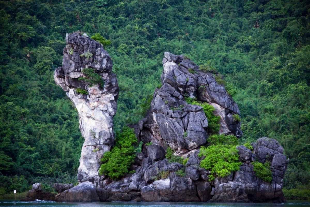 Cho Da Islet Halong Bay stone dog shaped rock formation Cho Da Islet Halong Bay features a unique stone dog shaped rock formation surrounded by lush greenery and blue water.