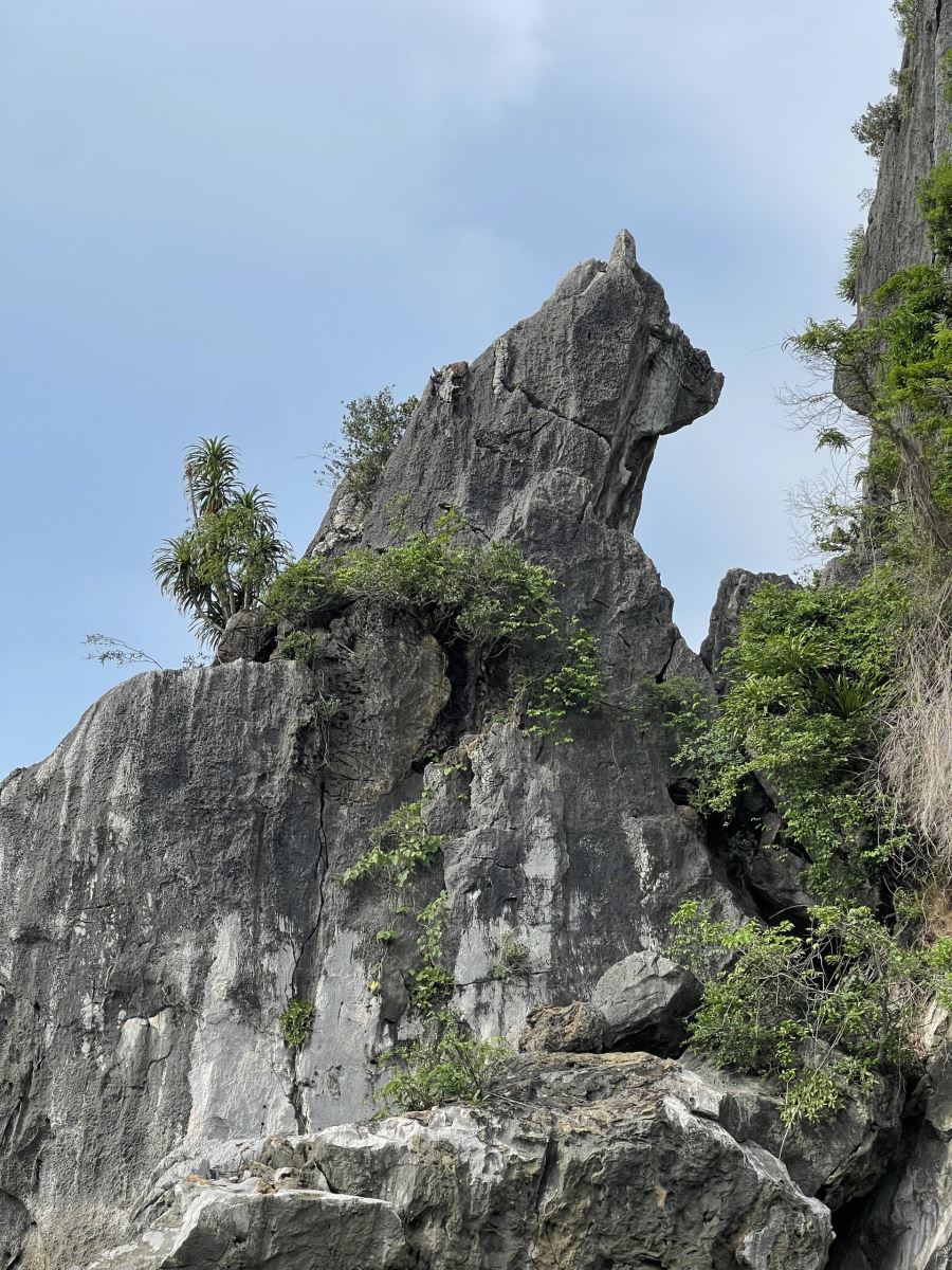 Cho Da Islet, also known as Stone Dog Islet, in Halong Bay, Vietnam