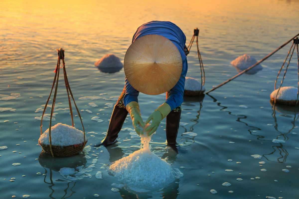 Close-up of Salt Crystals at Hon Khoi Salt Fields Detailed view of pure salt crystals being harvested at Hon Khoi Salt Fields in Vietnam.