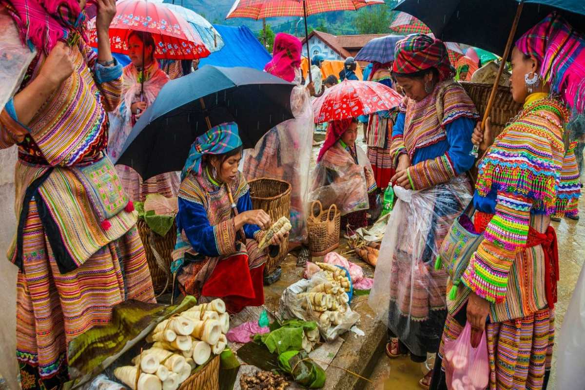 Coc Ly Market Sapa ethnic women selling bamboo shoots Coc Ly Market Sapa ethnic women in traditional clothes selling bamboo shoots, protected by bright umbrellas in rain.
