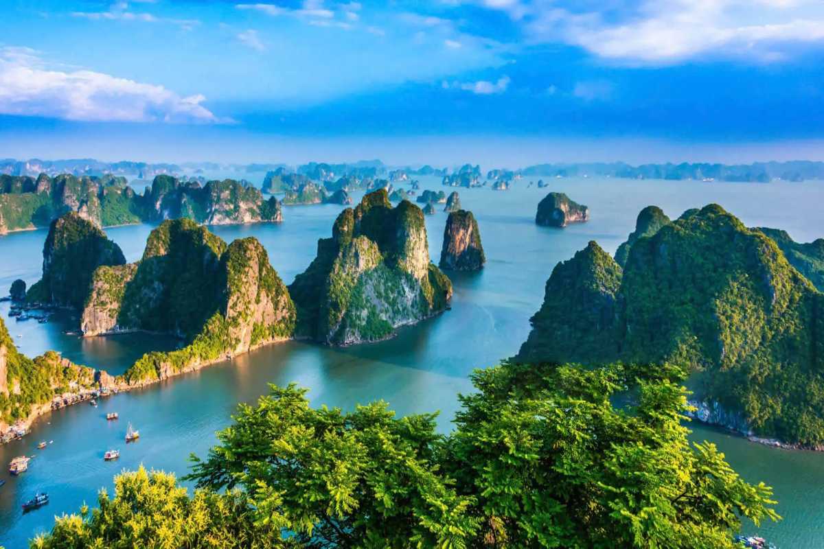 Cong Do Island Bai Tu Long Bay panoramic limestone karsts Panoramic view of Cong Do Island Bai Tu Long Bay showcasing lush limestone karsts rising from calm emerald waters.