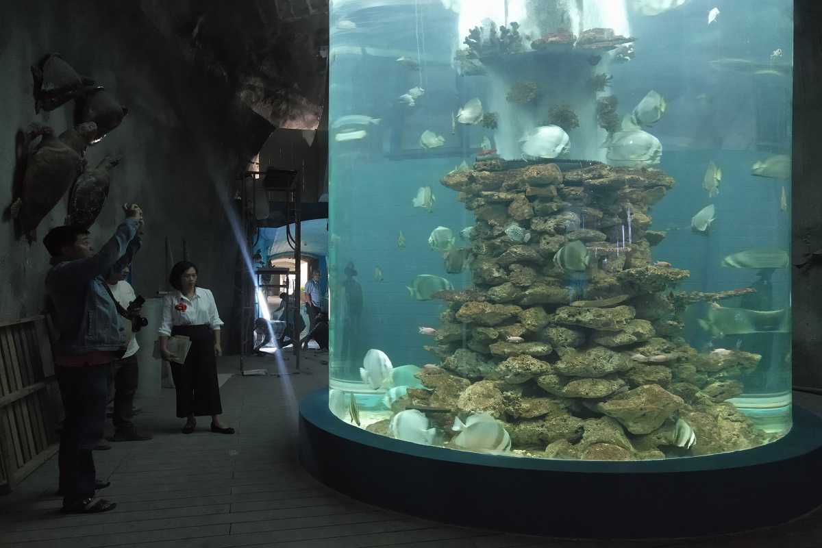 Cylindrical coral reef aquarium tank Visitors observe reef fish swimming around coral formations inside a cylindrical tank at the Institute of Oceanography