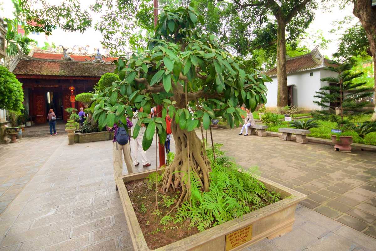 Courtyard and Garden Area of Quan Thanh Temple Peaceful courtyard with lush greenery and traditional architecture at Quan Thanh Temple