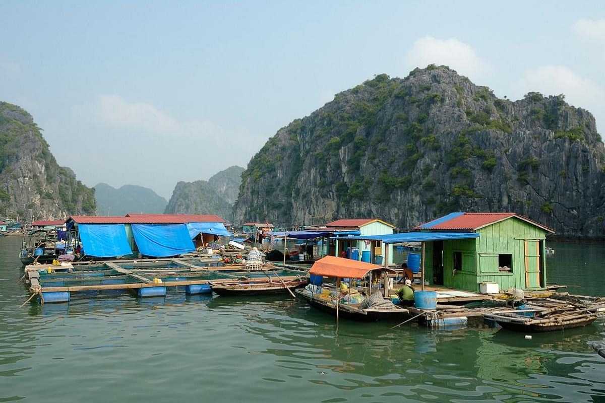 Visitors on wooden boat tour in Cua Van Floating Village Halong Bay Tourists enjoying a wooden boat ride through the tranquil waters of Cua Van Floating Village Halong Bay surrounded by cliffs