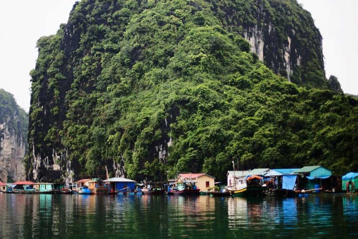 Cua Van Floating Village Halong Bay Floating Homes Cluster of floating homes with colorful roofs at Cua Van Floating Village Halong Bay surrounded by water