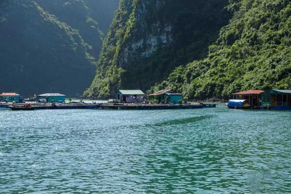 Kayaking adventure at Cua Van Floating Village Halong Bay Group of kayakers paddling near floating homes and limestone formations at Cua Van Floating Village Halong Bay