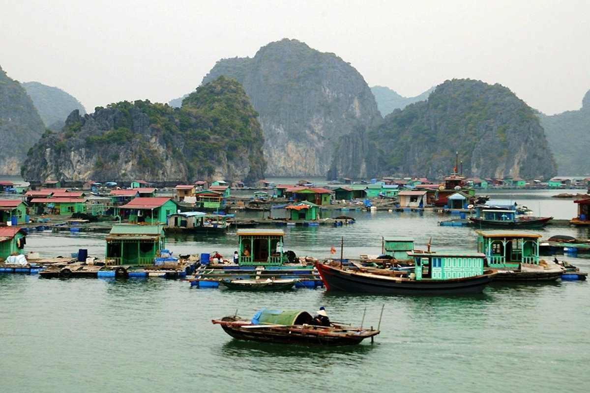 Cua Van Floating Village Halong Bay Traditional Fishing Fishermen working with nets in Cua Van Floating Village Halong Bay surrounded by limestone karsts