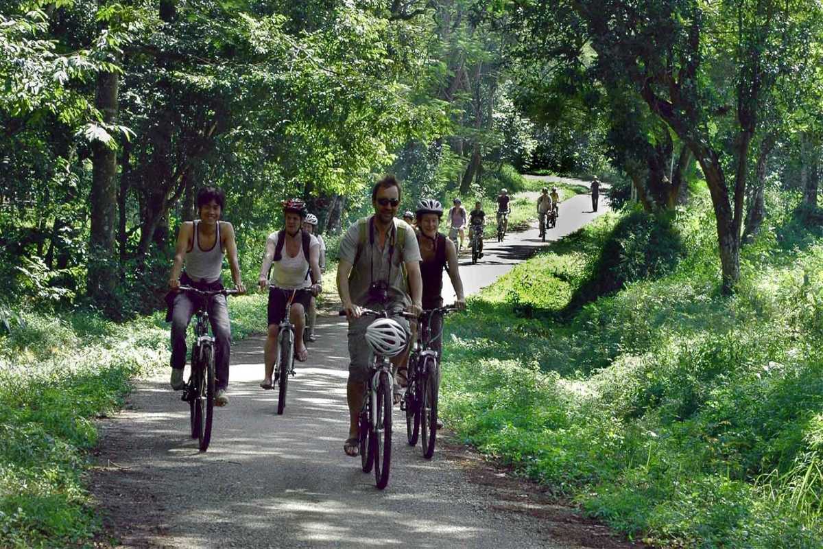 Cuc Phuong National Park guided cycling tour forest adventure Cyclists enjoy a group bike ride along lush, green paths in Cuc Phuong National Park Ninh Binh rainforest.