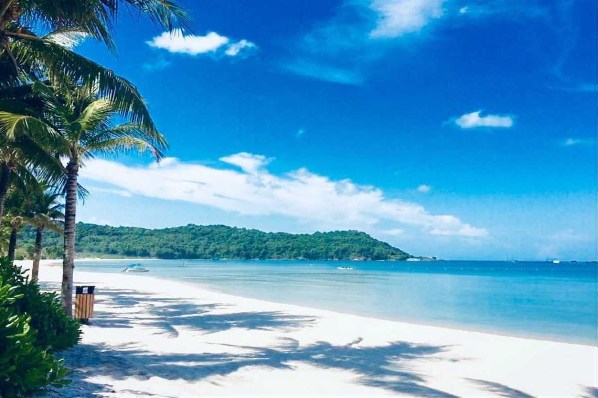 Dai Lanh Beach clear blue waters and palm trees Clear turquoise waters and shaded sandy beach lined with palm trees at Dai Lanh Beach, Nha Trang