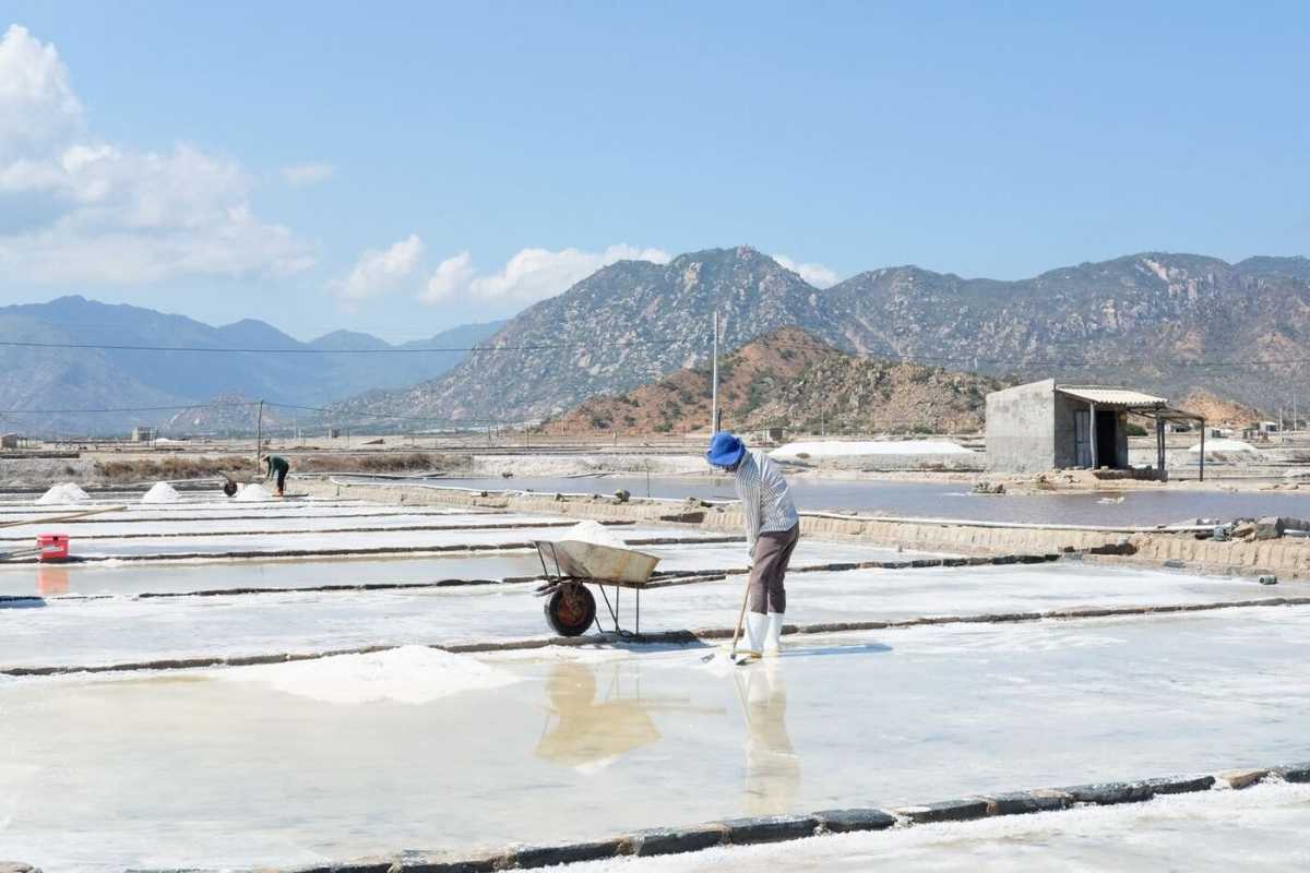 Dam Vua Salt Fields Overview from Above Aerial view of salt ponds layout at Dam Vua Salt Fields Ninh Thuan