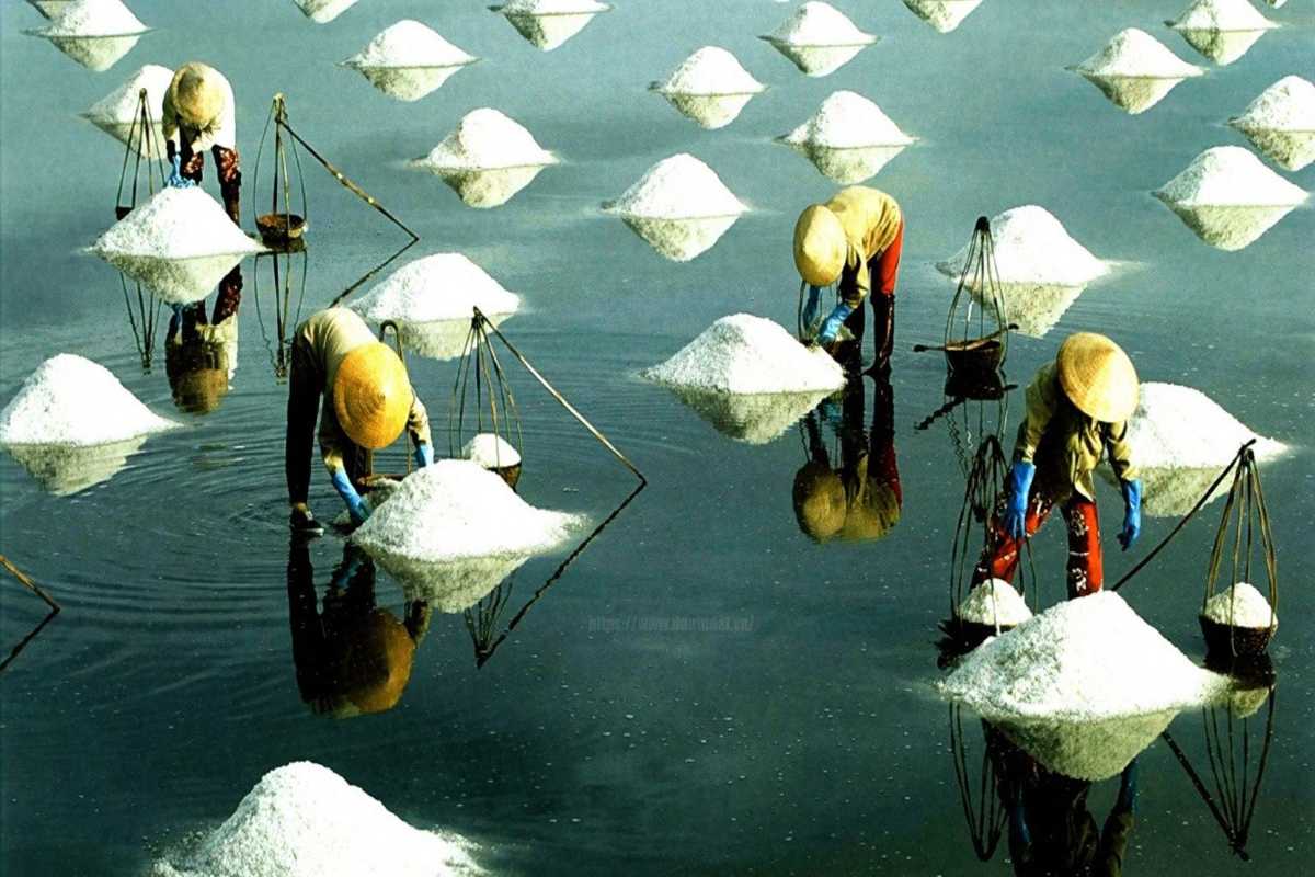 Dam Vua Salt Fields at Sunset Salt ponds reflecting sunset colors at Dam Vua Salt Fields Ninh Thuan
