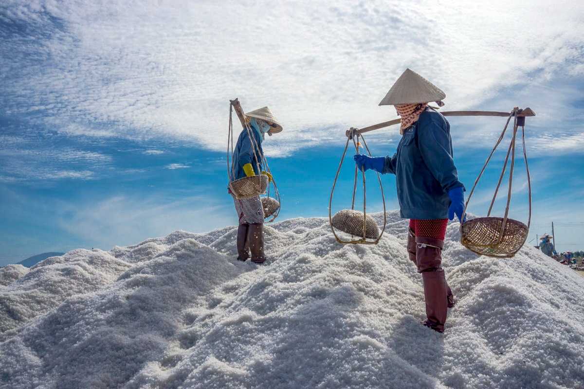 Local farmers manually harvesting salt at Dam Vua Salt Fields under a clear blue sky