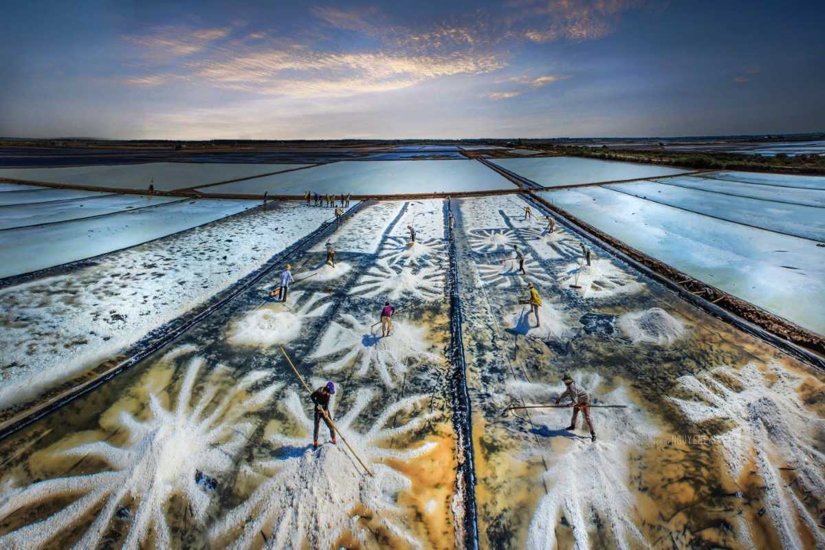 Dam Vua Salt Fields Worker in Action Salt worker with wheelbarrow in salt ponds at Dam Vua Salt Fields Ninh Thuan