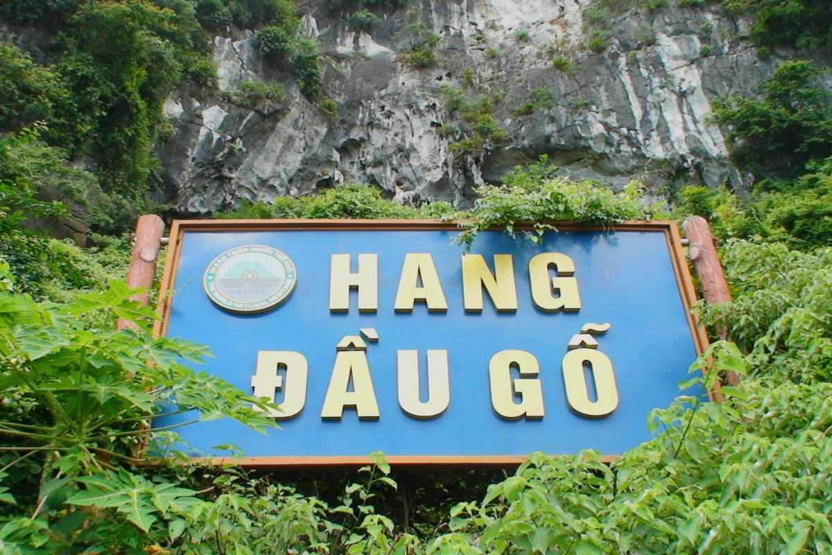 Dau Go Cave Halong Bay entrance sign with greenery Entrance sign of Dau Go Cave Halong Bay surrounded by green plants and rocky cliff backdrop at the cave entrance.